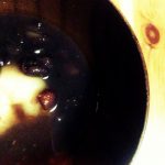 20110111-092100.jpg