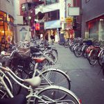 20120510-001734.jpg