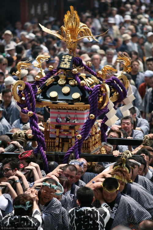 Sanja Matsuri festival Asakusa