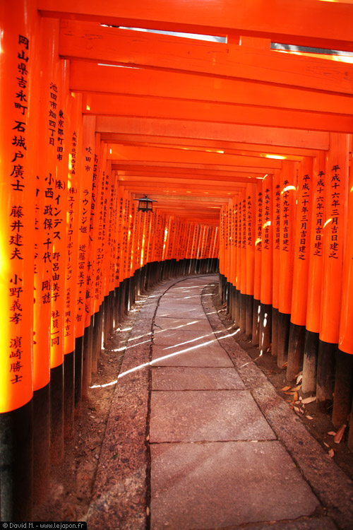 Safari Photo à Kyoto et passage obligé à Fushimi Inari taisha