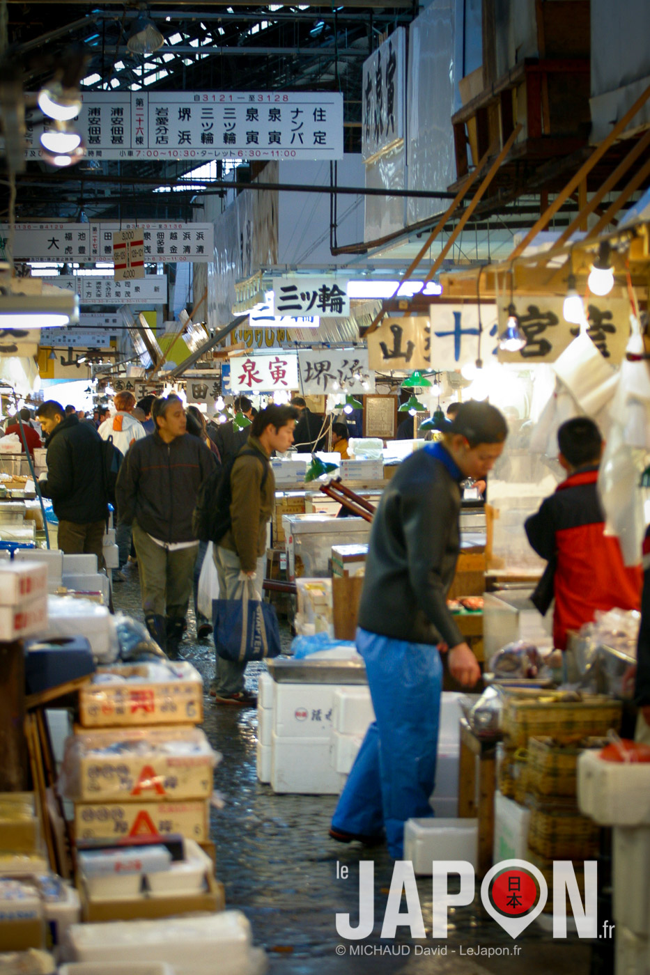 Marché aux poissons de Tsukiji !